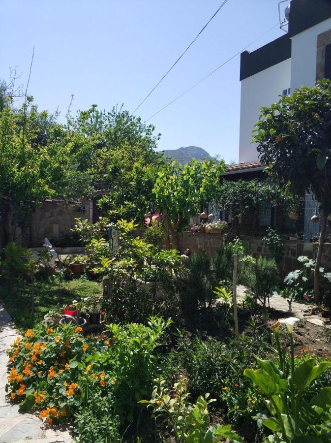 Apart Turgutreis Exterior foto